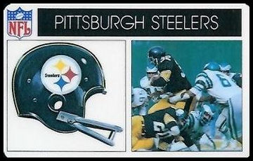 76P Pittsburgh Steelers.jpg